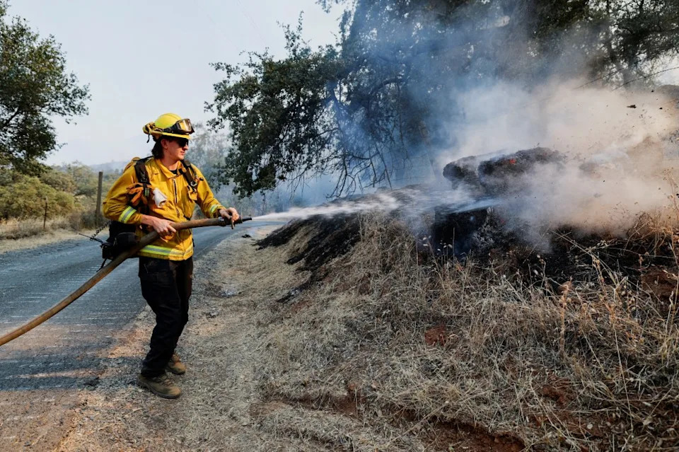 Former Inmate Firefighter Admits Starting Deadly Gann Fire That Killed Local Dog Breeder