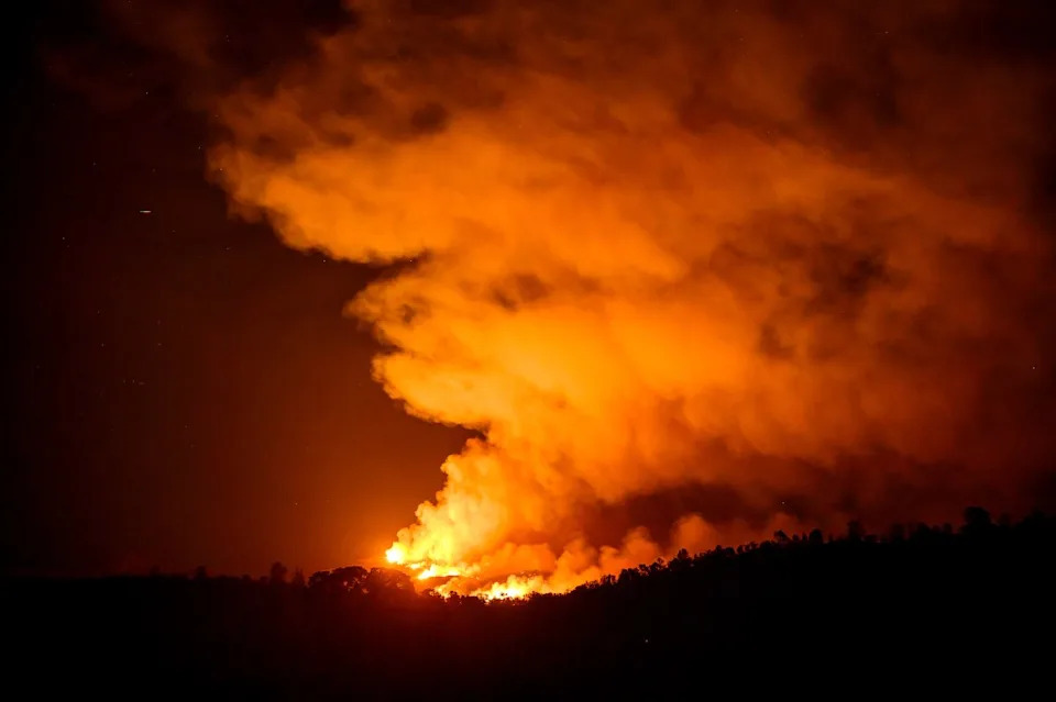 Former Inmate Firefighter Admits Starting Deadly Gann Fire That Killed Local Dog Breeder