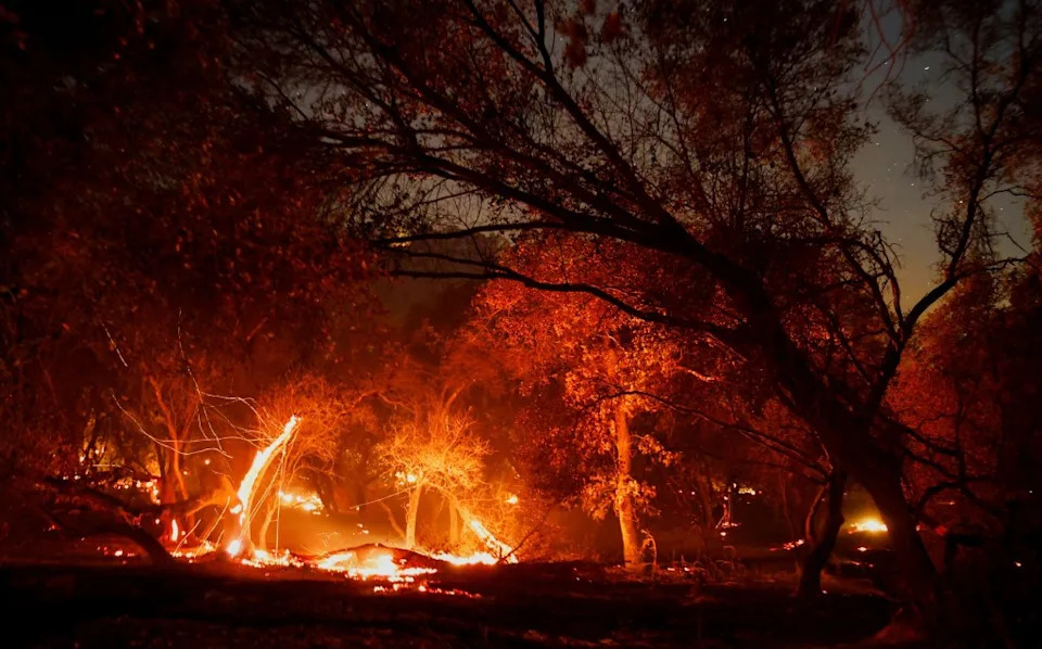 Former Inmate Firefighter Admits Starting Deadly Gann Fire That Killed Local Dog Breeder