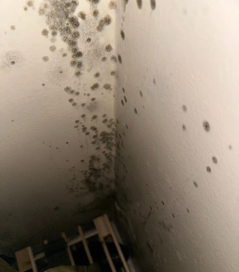 Toddler Hospitalised With RSV And Flu After Family Moved Into Mould-Infested Army Home