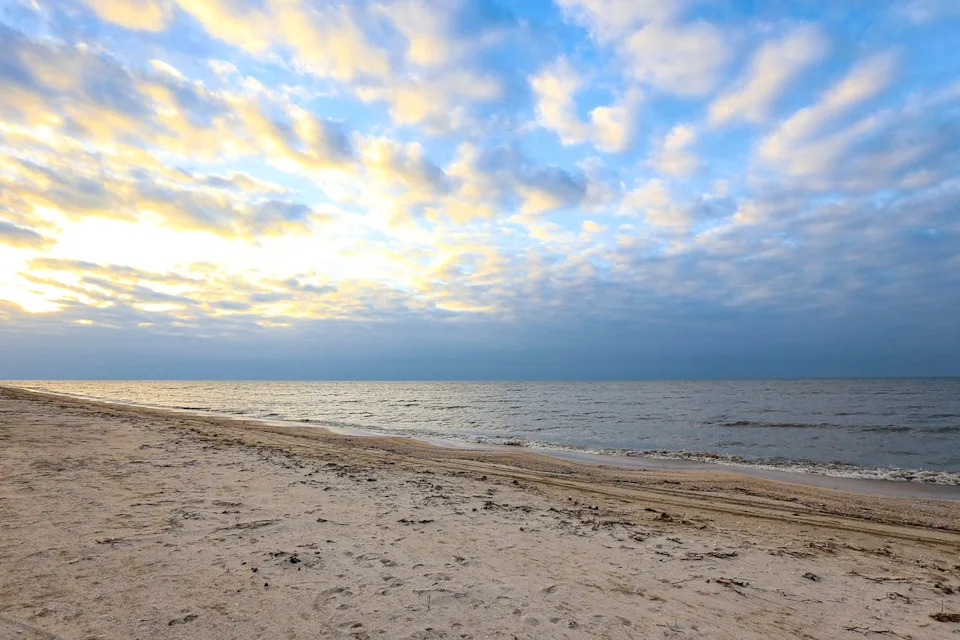 At Least Five Dead in Louisiana as 'Flesh-Eating' Vibrio Cases Surge — Officials Urge Caution
