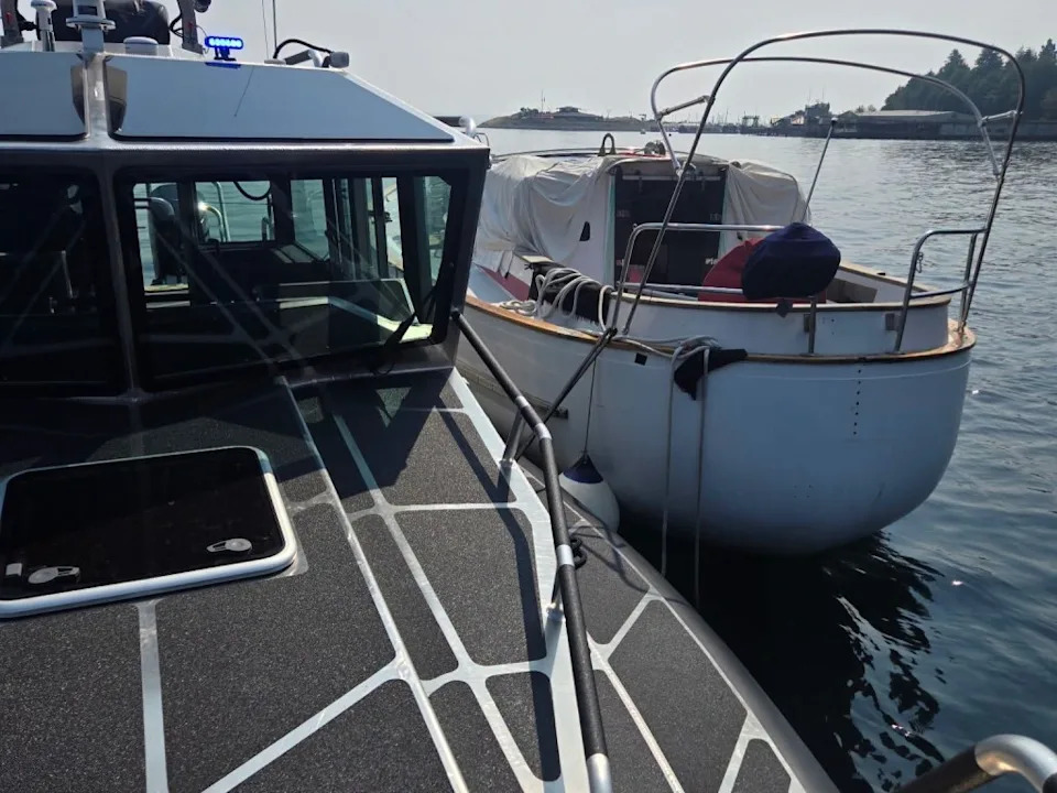 Mystery 'Cat Boat': Police Rescue More Than 30 Cats From Abandoned Vessel Near Tacoma