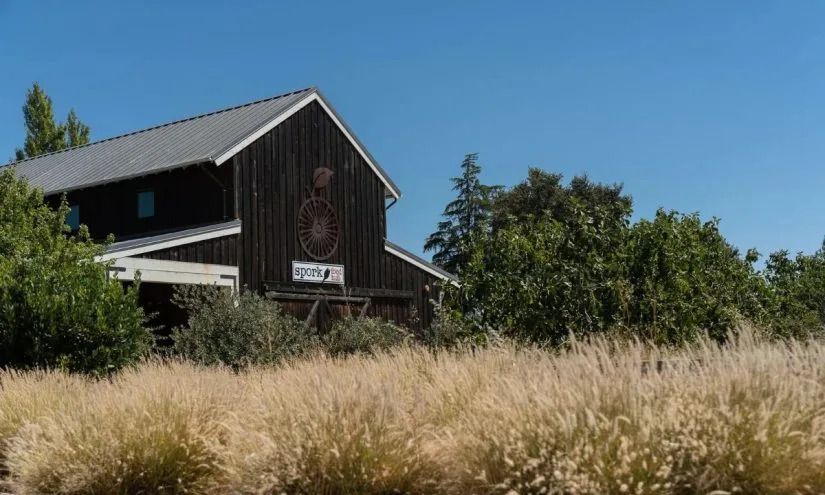 California Makes Farm-to-School Permanent and Expands Local Food Partnerships