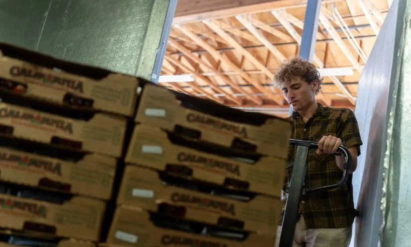 California Makes Farm-to-School Permanent and Expands Local Food Partnerships