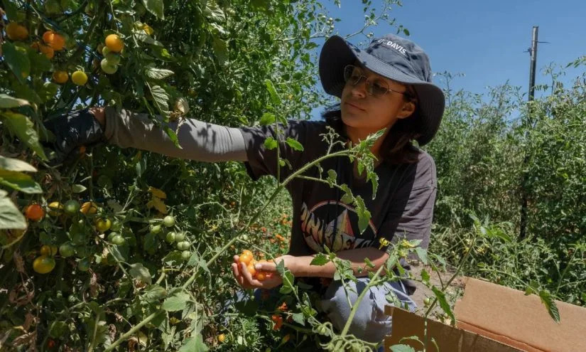 California Makes Farm-to-School Permanent and Expands Local Food Partnerships