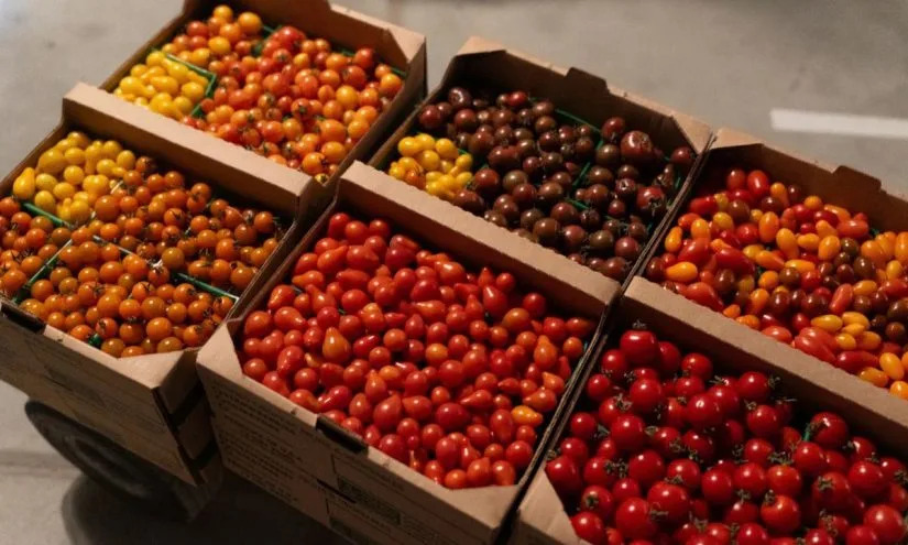 California Makes Farm-to-School Permanent and Expands Local Food Partnerships