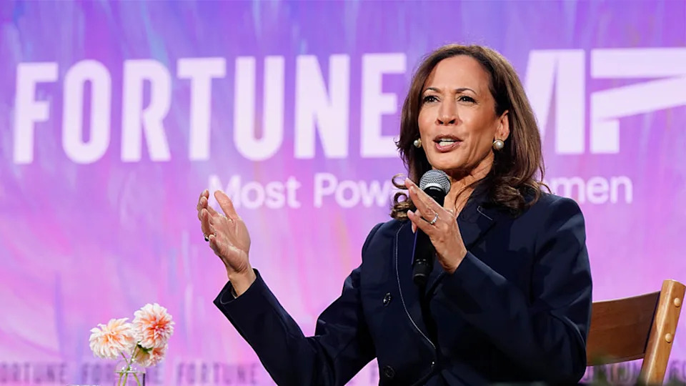 Former DNC Fundraiser Says Major Donors Unlikely To Back Kamala Harris Again Amid Democratic Divisions