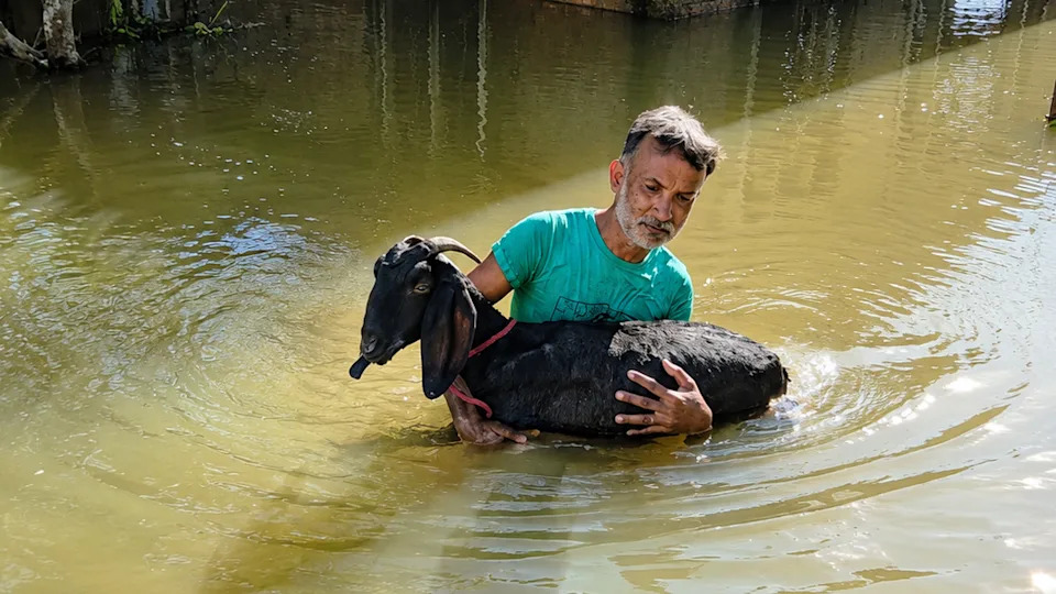 97-Year-Old Rescued On Makeshift Banana Raft As Devastating Assam Floods Displace Millions