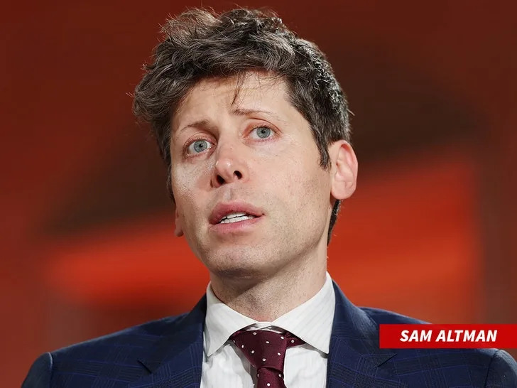 Sam Altman's Sister Asks Judge To Dismiss His Defamation Suit, Stands By Abuse Allegations