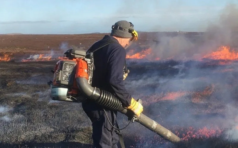 How Whitehall Policies Turned England’s Uplands Into a Wildfire Hazard — and What Must Change