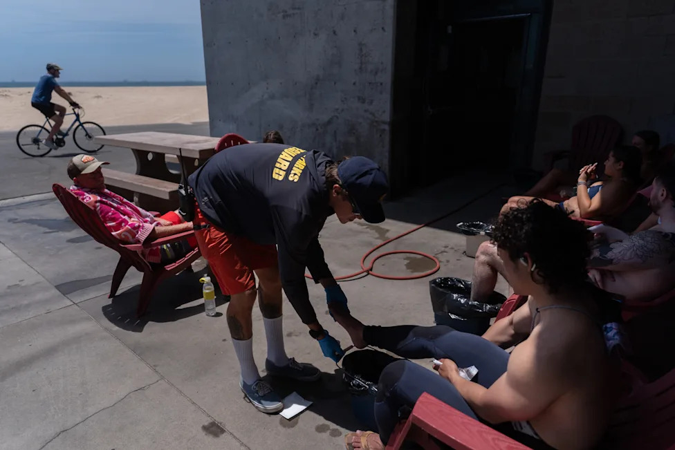 Topla voda i El Niño gurnuli raže bliže obale: Hiljade uboda na plažama Južne Kalifornije