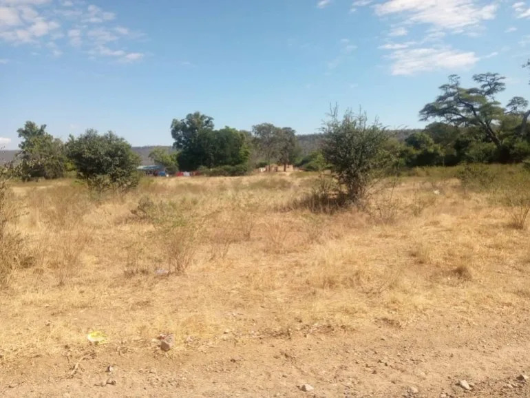 Zimbabwe Begins New Phase Of Land Settlements: 67 BIPPA Farms Returned, 840 Restored, 409 Offered For Purchase