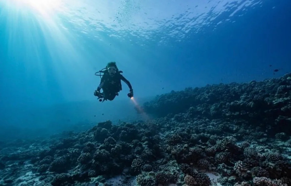 Prekasno za duboko ronjenje? Sylvia Earle poručuje: „Podmornice mogu biti bezbednije od letenja“