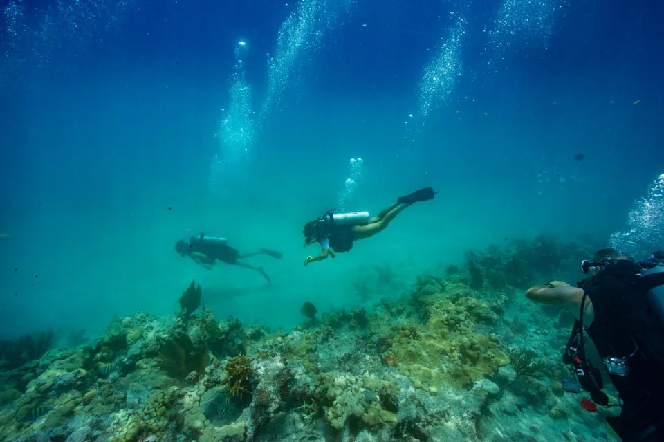 Prekasno za duboko ronjenje? Sylvia Earle poručuje: „Podmornice mogu biti bezbednije od letenja“