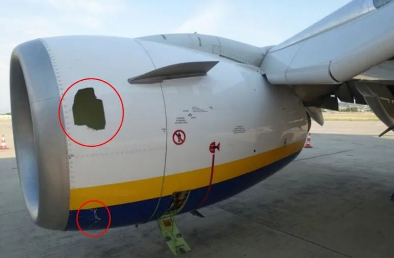 NTSB: Sudar s pticom mogao izazvati kvar motora — 61-godišnji srpski putnik gotovo ispao kroz prozor na letu Ryanair