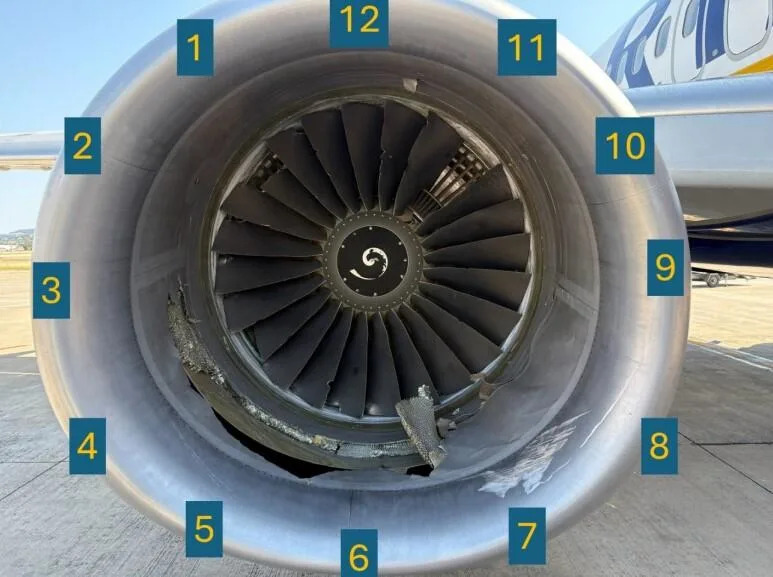 NTSB: Sudar s pticom mogao izazvati kvar motora — 61-godišnji srpski putnik gotovo ispao kroz prozor na letu Ryanair