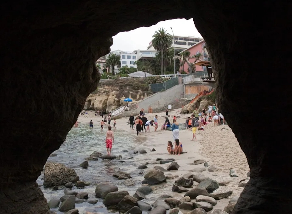 La Jolla Teen Pleads Guilty After Viral Video Shows Him Chasing and Kicking Sea Lion — Faces Federal Penalties