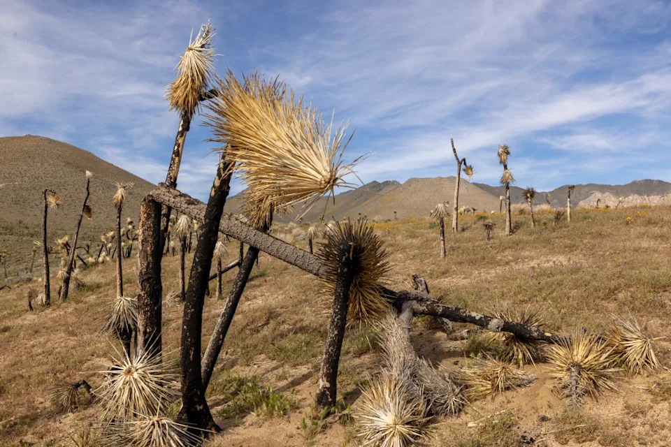 California's Looming Water Crisis: Why We Must Build More Water Infrastructure Now