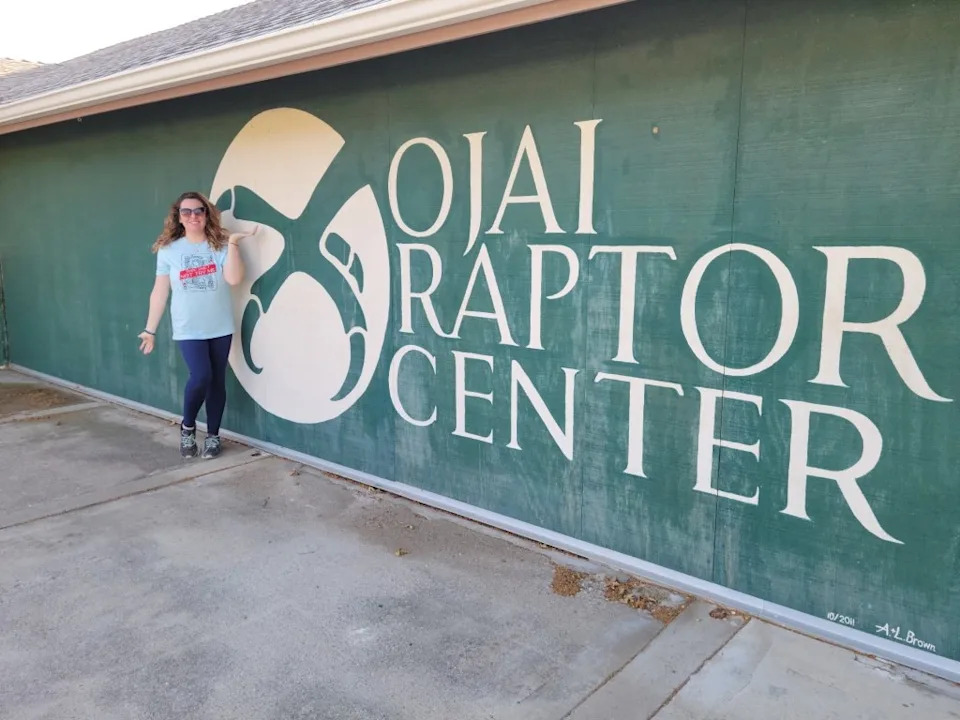Unauthorized 'Jackie' Merchandise Surfaces After Viral Bald Eagle's Death — Ojai Raptor Center Issues Warning