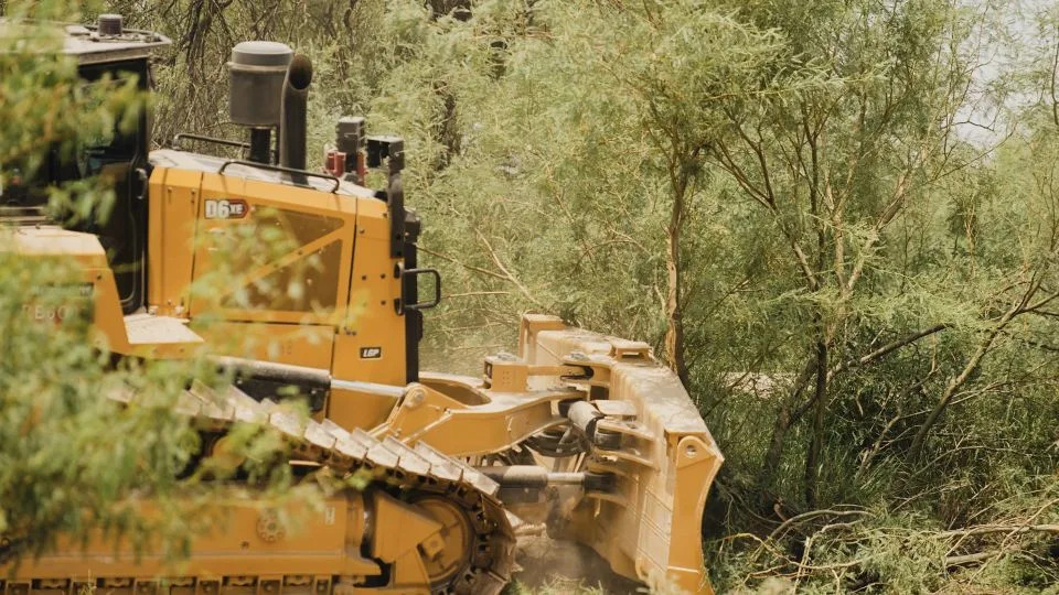 Bulldozers Tear Into Big Bend National Park — Locals, Tribes and Former Rangers Sound the Alarm