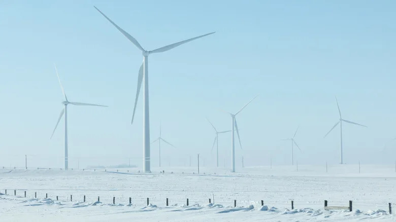 Pet saveznih država sa najviše vetroturbina i koliko energije proizvode