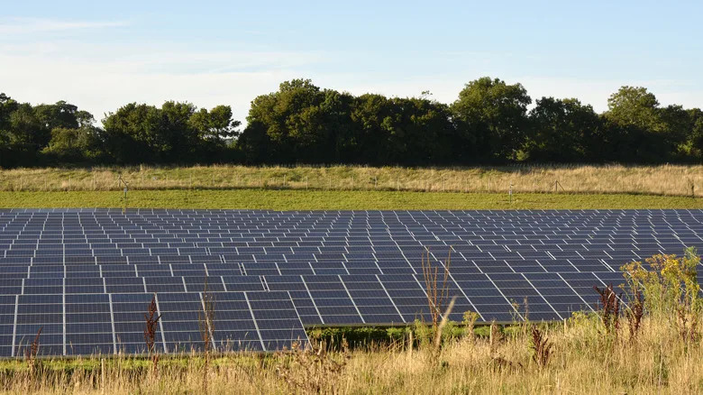 Barkham: Solarnih 43.000 Panela Koji Pomažu U Hitnom Klimatskom Planu Wokinghama