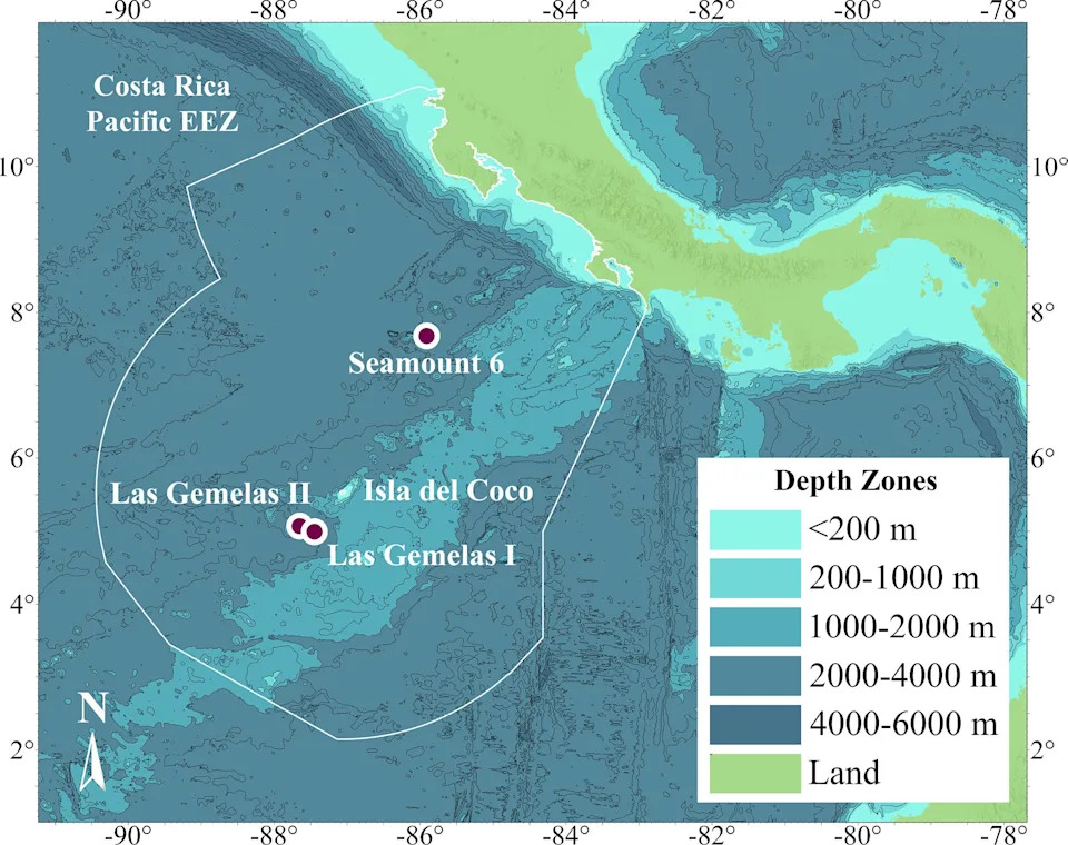 Golden Deep‑Sea Coral Off Costa Rica Is So Distinct Scientists Created a New Family