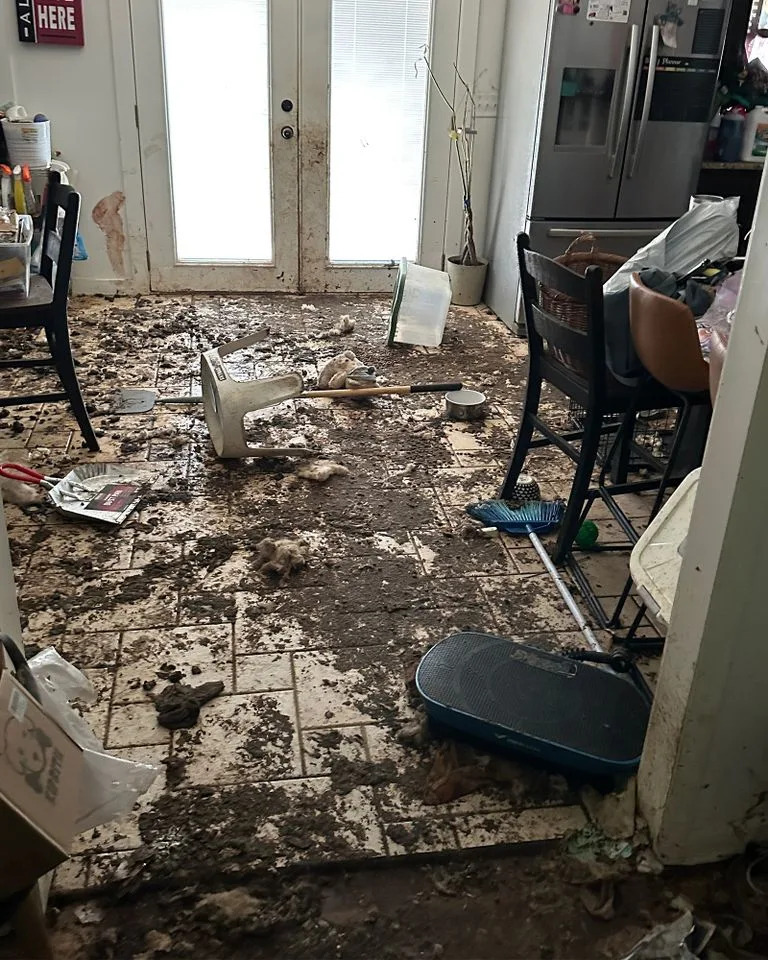 47 Animals Rescued From Tennessee 'Sanctuary' Under Investigation For Alleged Abuse And Donor Fraud