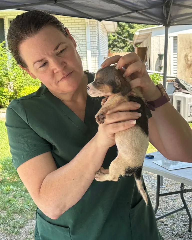 47 Animals Rescued From Tennessee 'Sanctuary' Under Investigation For Alleged Abuse And Donor Fraud