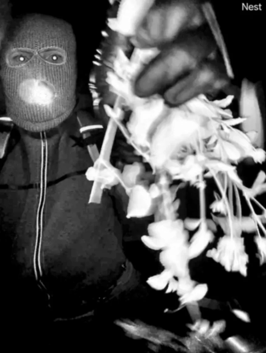 Human Remains Found Near Tucson Deemed Unrelated to Nancy Guthrie Disappearance, Officials Say