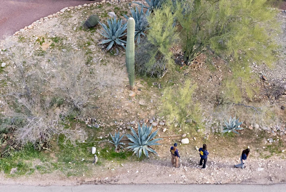 Human Remains Found Near Tucson Deemed Unrelated to Nancy Guthrie Disappearance, Officials Say