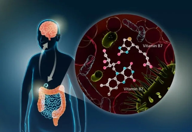 Crevne bakterije i Parkinson: Mogu li B‑vitamini ili transplantacija stolice usporiti bolest?