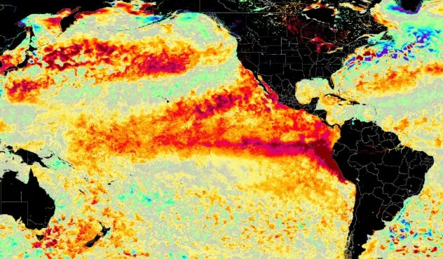 Toplije vode i 'super El Niño' dovode više ajkula u Južnu Kaliforniju