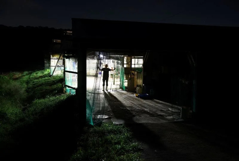 Noćne Smene U Japanu: Poljoprivrednici Se Prilagođavaju Smrtonosnim Talasima Vrućine