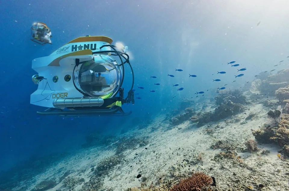 Sylvia Earle: Nova generacija submersibla Honu i hitno upozorenje za očuvanje okeana