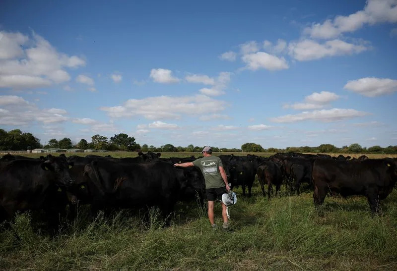 Kozloduj Smanjuje Kapacitet Za Oko 12% Zbog Rekordno Niskog Vodostaja Dunava