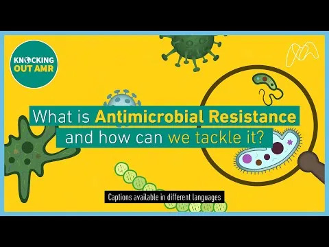 Novo Otkriće Protiv Opasnih Gljivičnih Infekcija: Bakterijski Antibiotik Gladiolin Može 