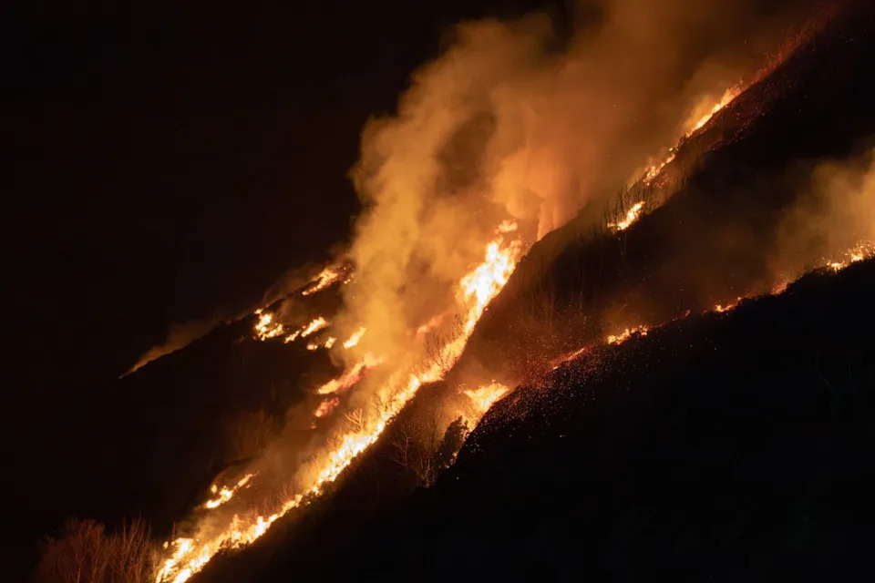 Alarmantno: Šumski požari u Evropi mogli bi da se utrostruče u narednih 75 godina