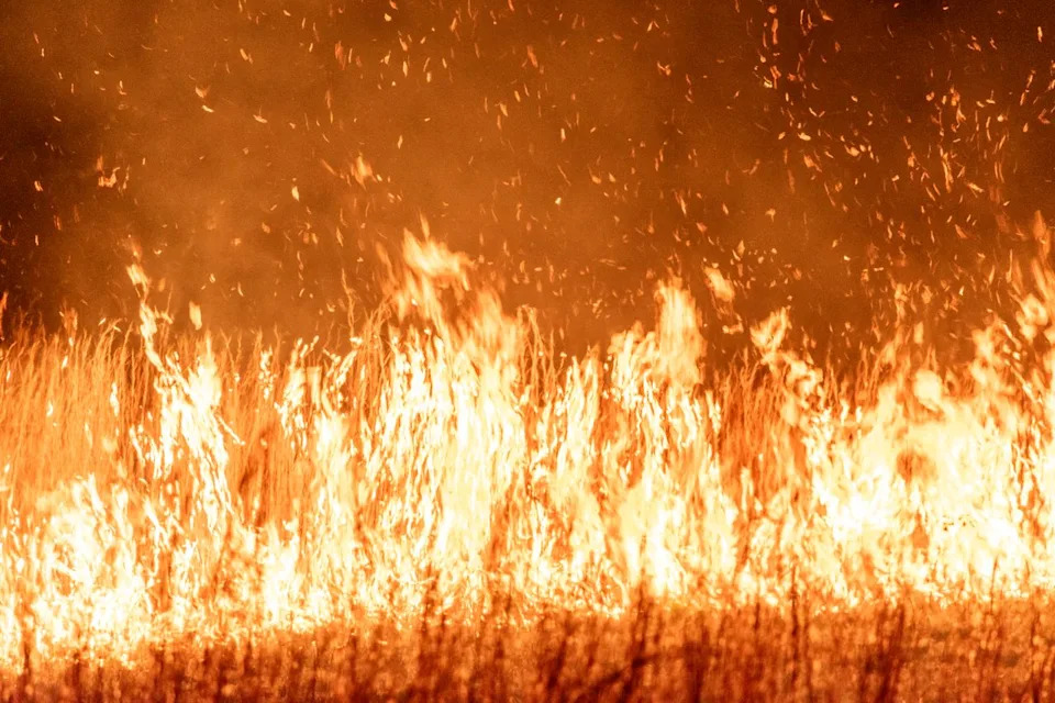 Alarmantno: Šumski požari u Evropi mogli bi da se utrostruče u narednih 75 godina