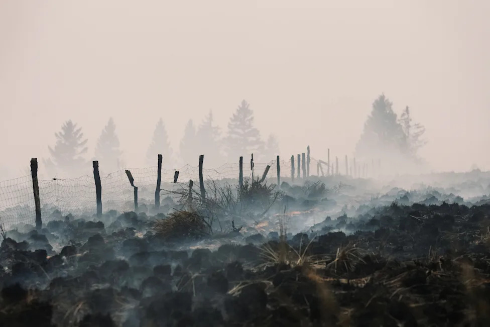 Požari u Evropi Otkrivaju Zakopane Bombe i Mine — Nasleđe Ratova Koje Klimatske Promene Izbacuju Na Površinu