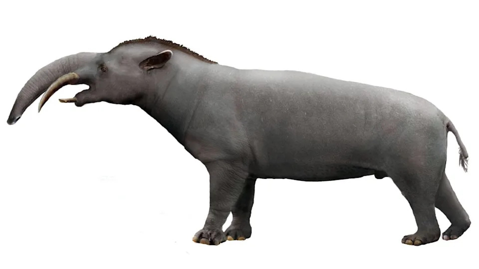Drevni krokoid težak kao auto: Purussaurus neivensis — vrhunski predator miocena