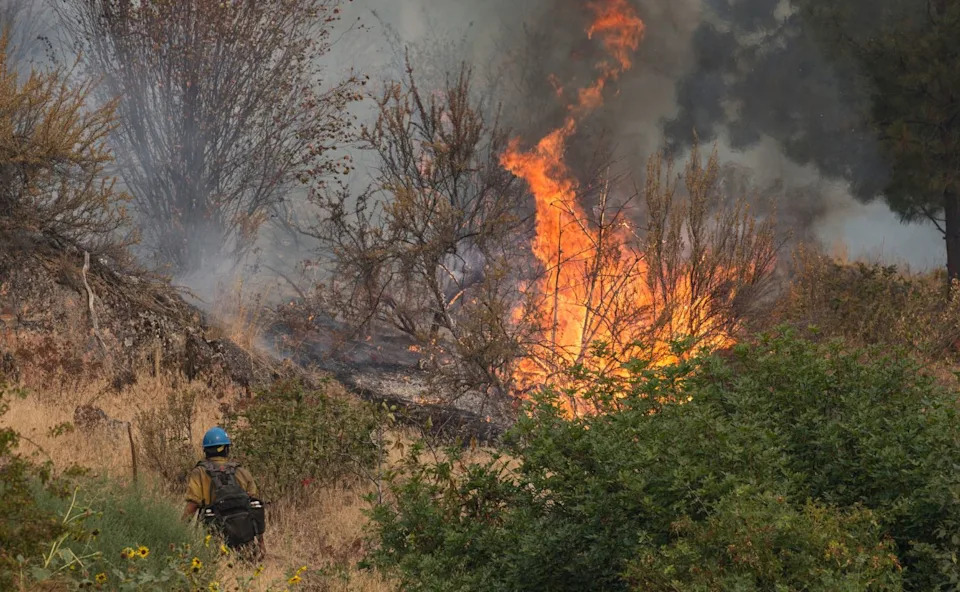 Kako okean pogoršava požare u Severnoj Americi: Zašto je Super El Niño opasan
