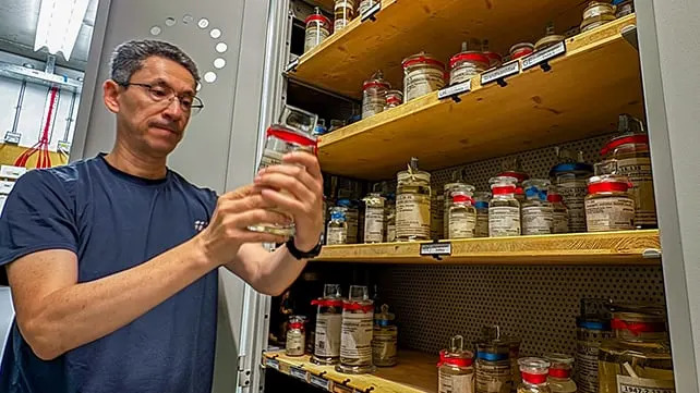 Nova Vrsta „Milpe“ Kišne Žabice Otkrivena — Godinama Je Bila Sakrivena Pod Pogrešnim Imenom