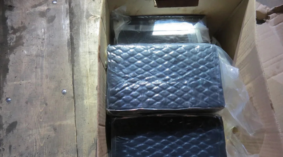 CBSA Zaplenio 385 kg Kokaina na Blue Water Bridge — Vozač Uhapšen, RCMP Podneo Optužnice