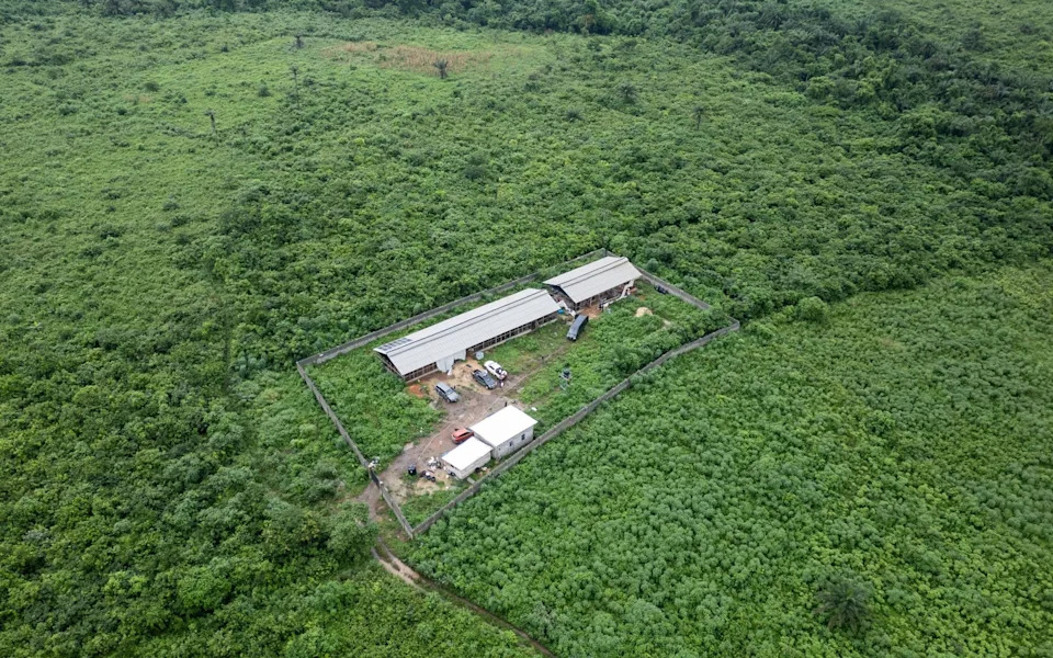 Meksički „kuvari“ podižu super-laboratorije za met u Africi: šta to znači za Južnu Afriku i region