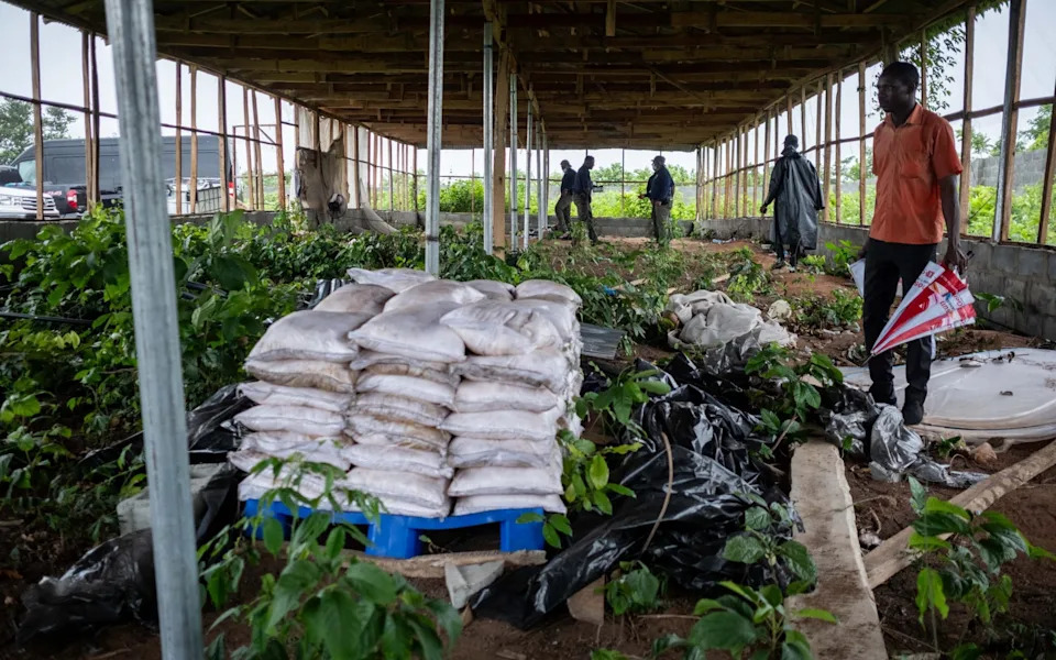Meksički „kuvari“ podižu super-laboratorije za met u Africi: šta to znači za Južnu Afriku i region