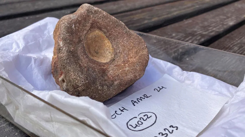 Izuzetan fosil ihtiosaura iz rimske jame otkriva ranu „paleontologiju“ u Kolčesteru