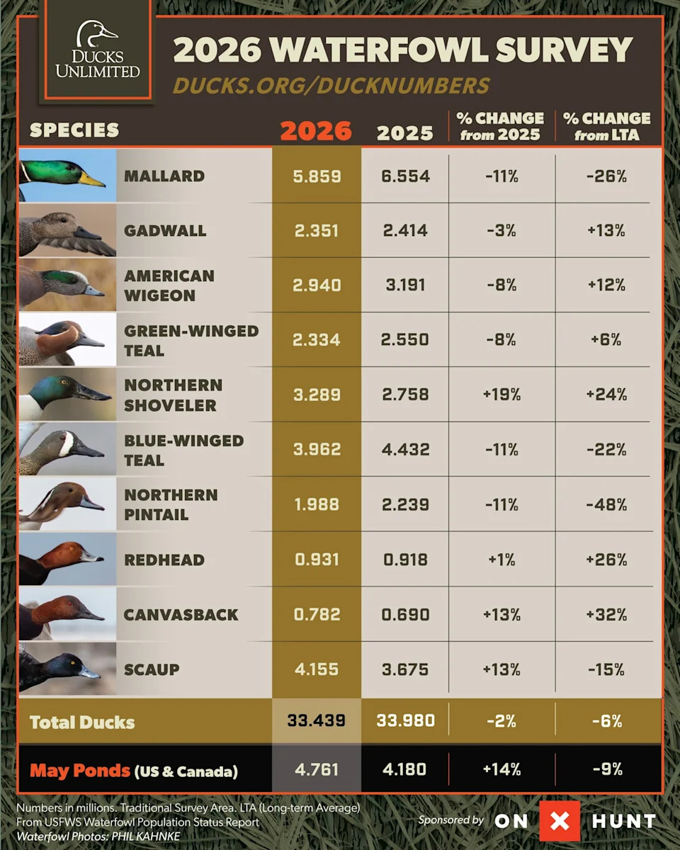 Mallardi, Pintaili i Blue‑Winged Teal U Padu: USFWS Izveštaj Pokazuje Severni Pomak Gnežđenja