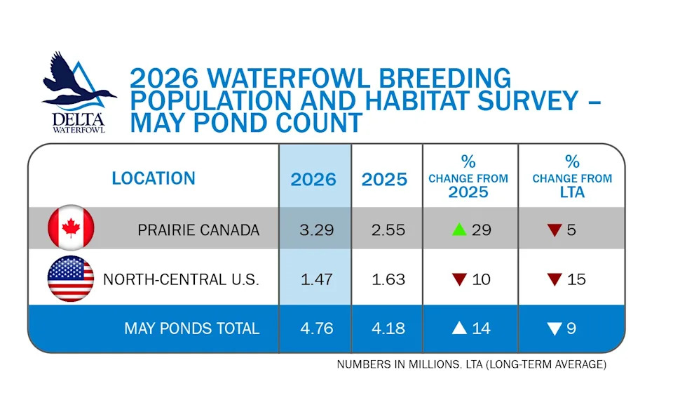 Mallardi, Pintaili i Blue‑Winged Teal U Padu: USFWS Izveštaj Pokazuje Severni Pomak Gnežđenja
