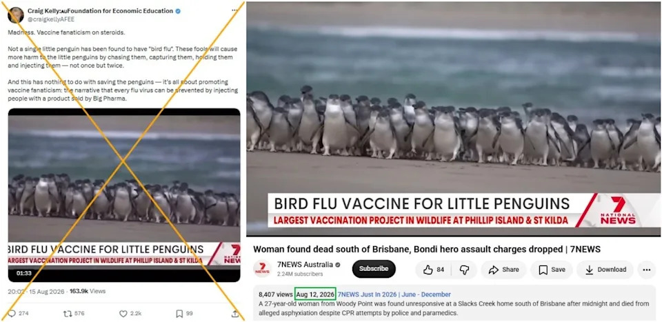 Australija vakciniše male pingvine protiv H5N1; antivakserske laži se šire